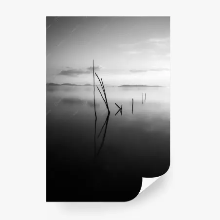 Fototapete ruhiger monochromer see mit reflexionen – Pixers®