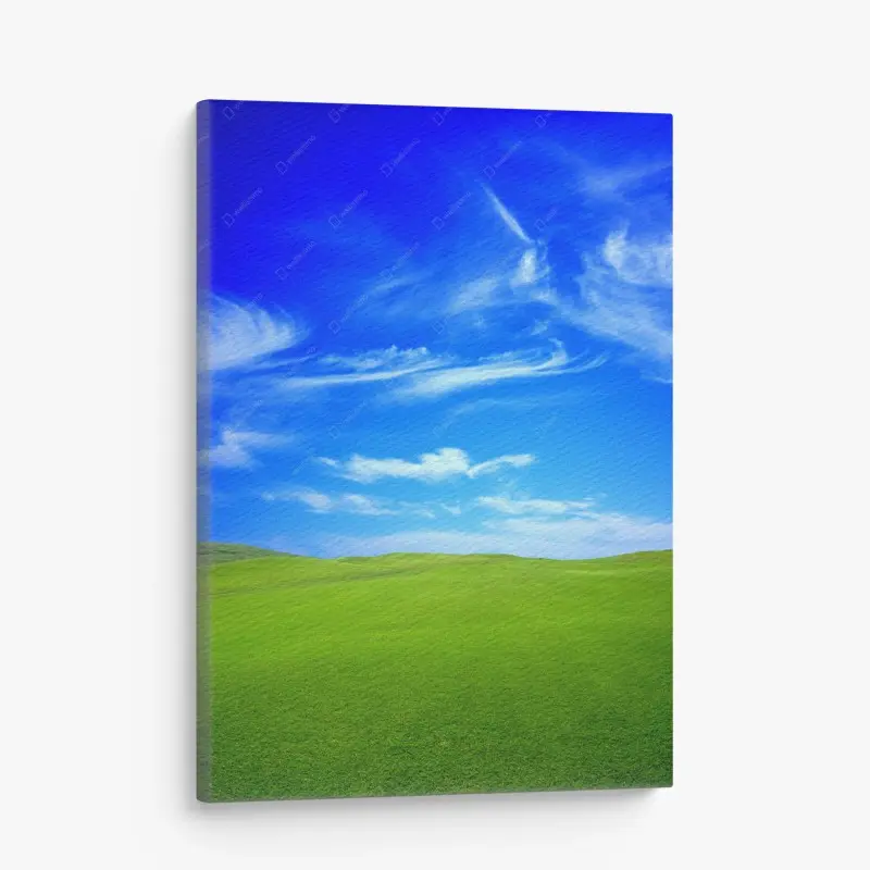 Leinwandbild grüne wiese unter blauem himmel