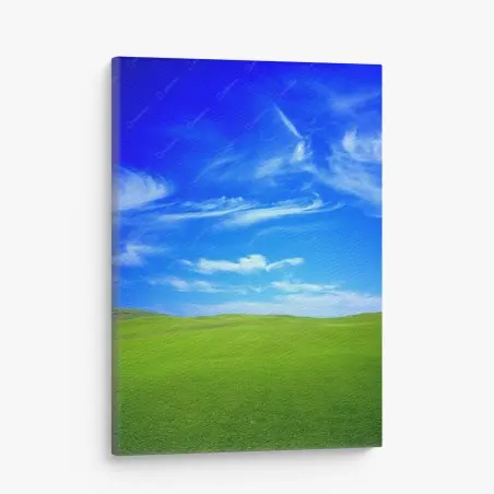 Leinwandbild grüne wiese unter blauem himmel – Pixers®