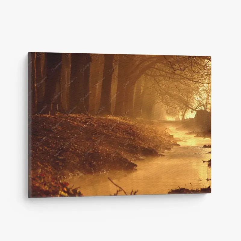 Leinwandbild goldener bach im nebligen wald am morgen