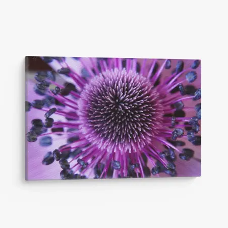 Leinwandbild makroaufnahme einer lila blüte – Pixers®