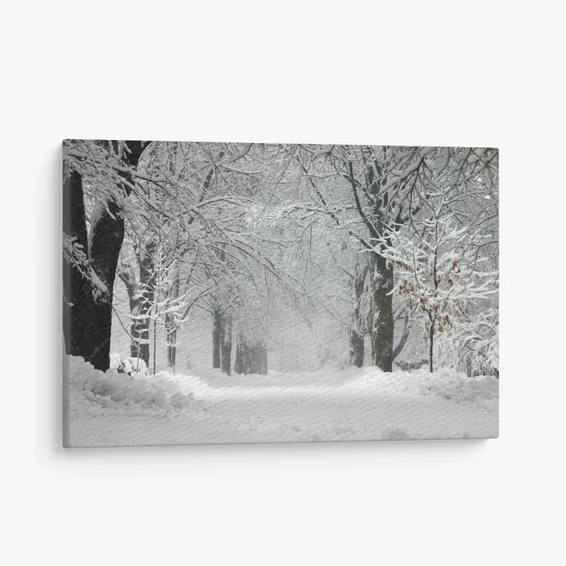 Leinwandbild ruhiger winterwaldweg