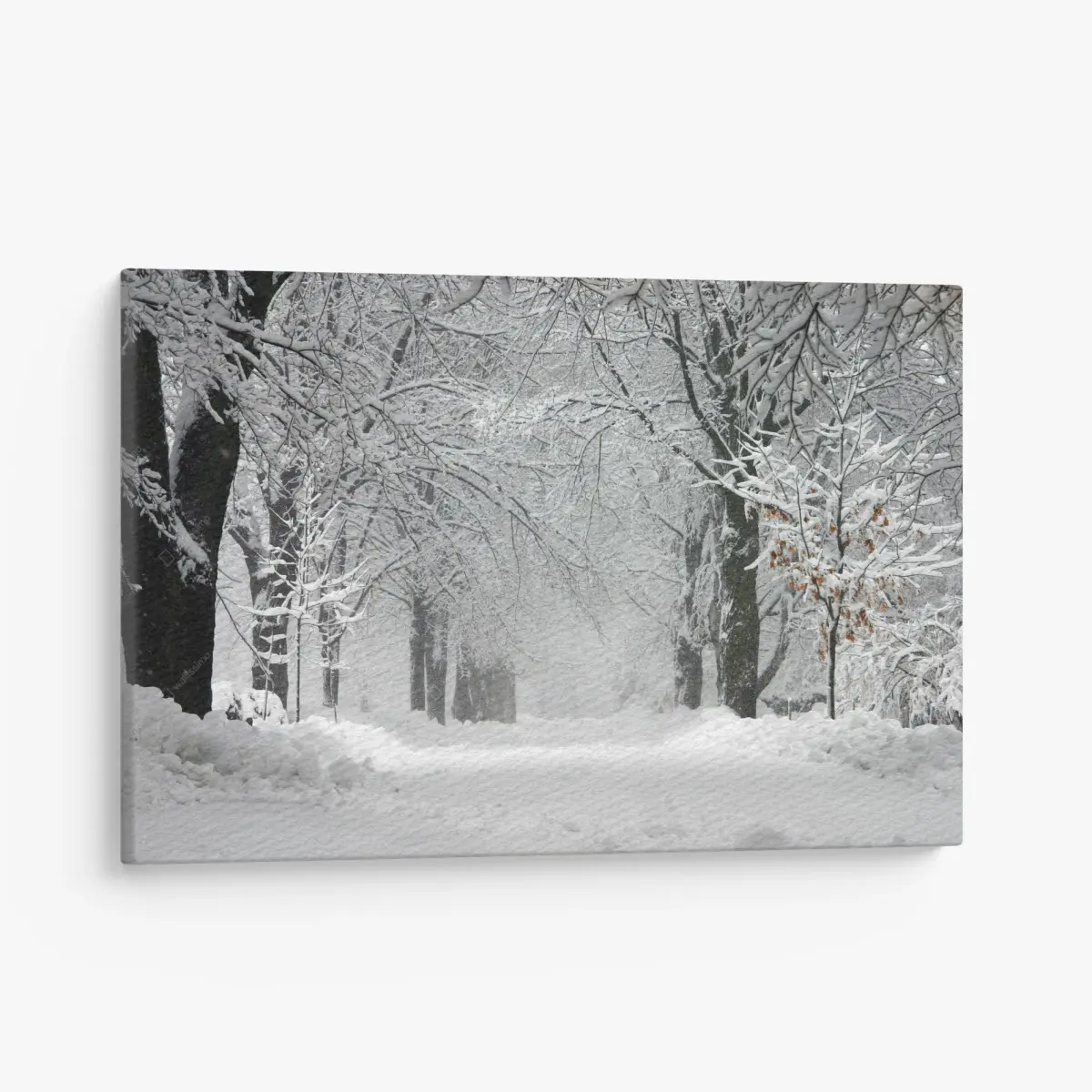 Leinwandbild ruhiger winterwaldweg – Pixers®
