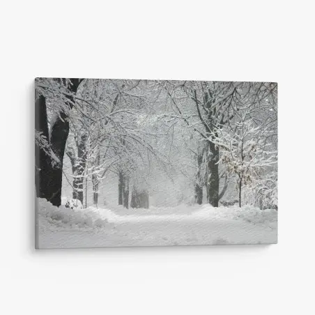 Leinwandbild ruhiger winterwaldweg – Pixers®