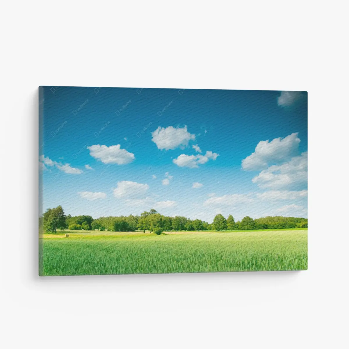 Leinwandbild sonnige sommerwiese unter klarem blauem himmel – Pixers®
