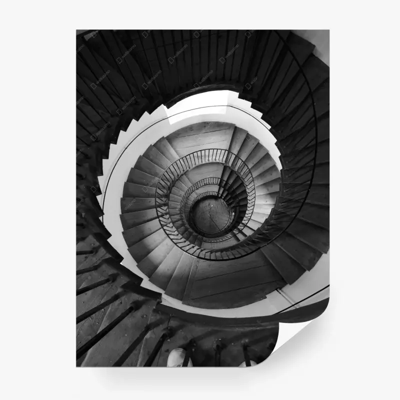 Fototapete monochrome spiraltreppe geometrie