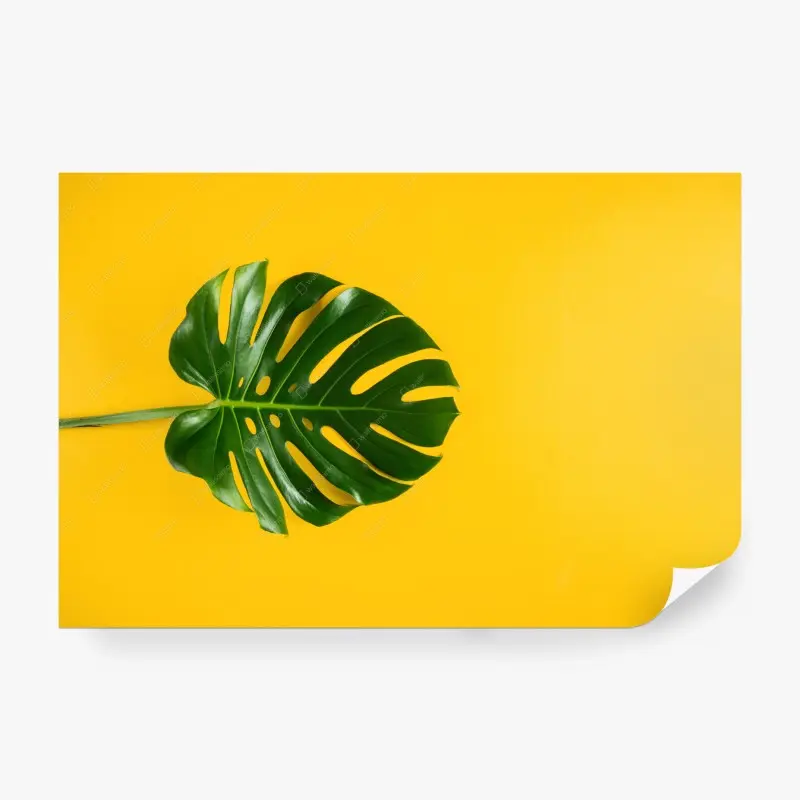 Fototapete monstera-blatt auf gelbem hintergrund