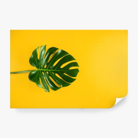 Fototapete monstera-blatt auf gelbem hintergrund – Pixers®
