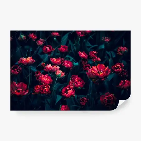 Fototapete mystischer garten roter tulpen – Pixers®