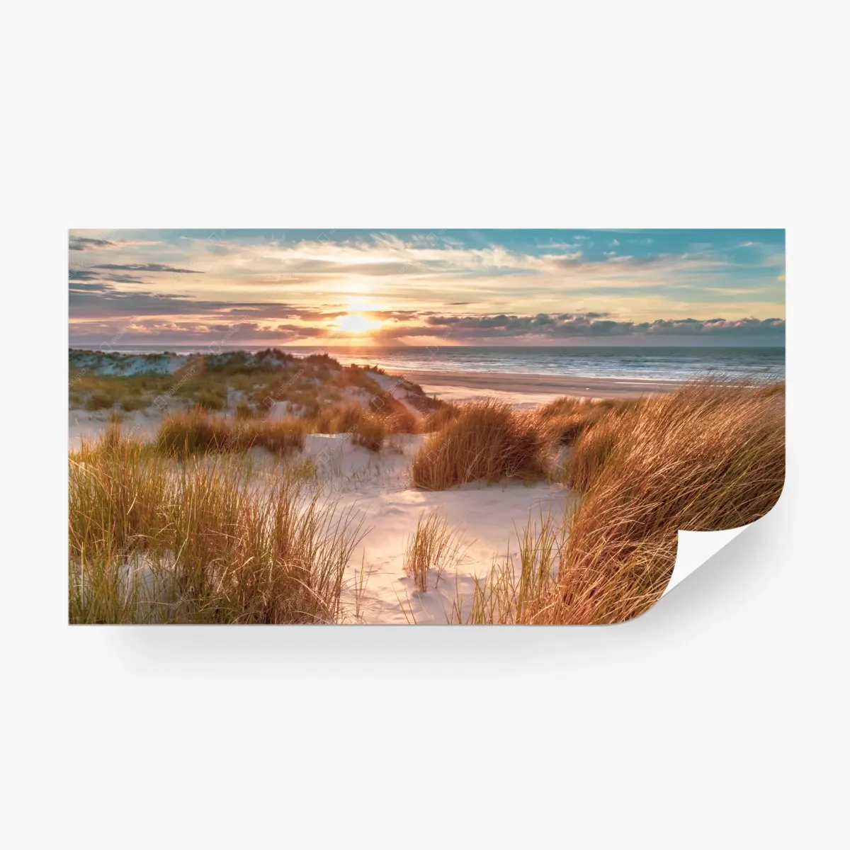 Fototapete sonnenuntergang über den dünen von Ameland – Pixers®
