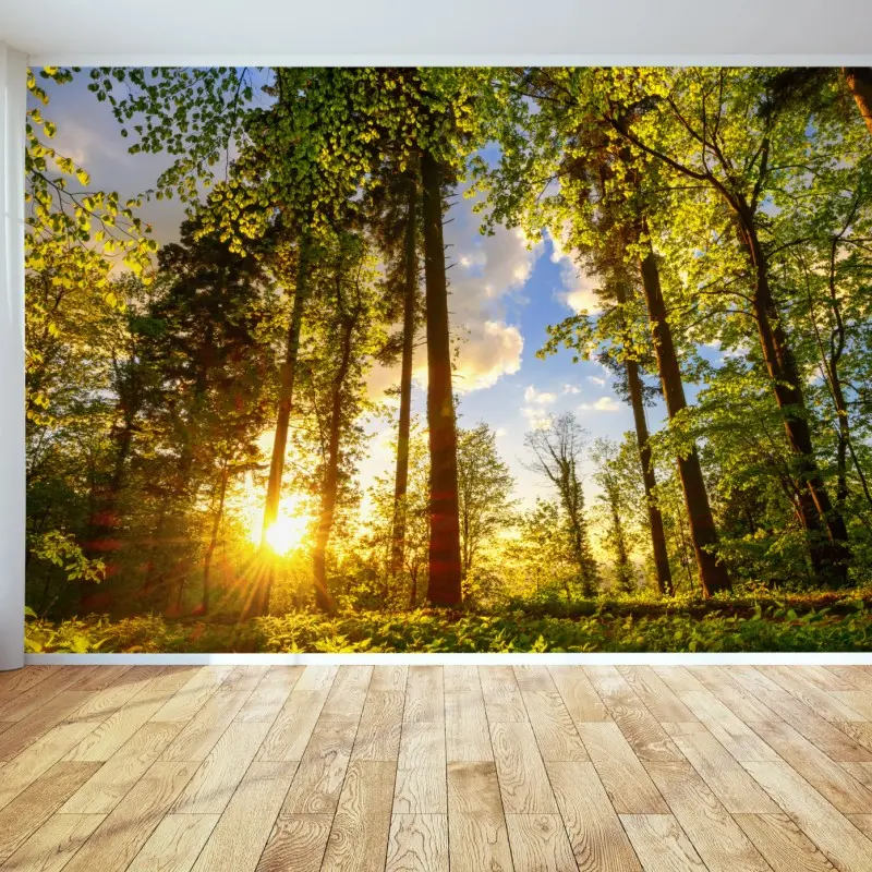 Fototapete sonnenbeschienener waldweg in der goldenen stunde