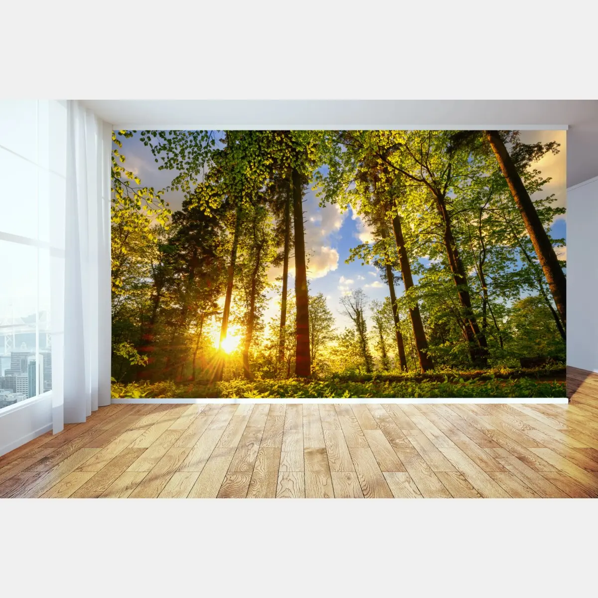 Fototapete sonnenbeschienener waldweg in der goldenen stunde – Pixers®