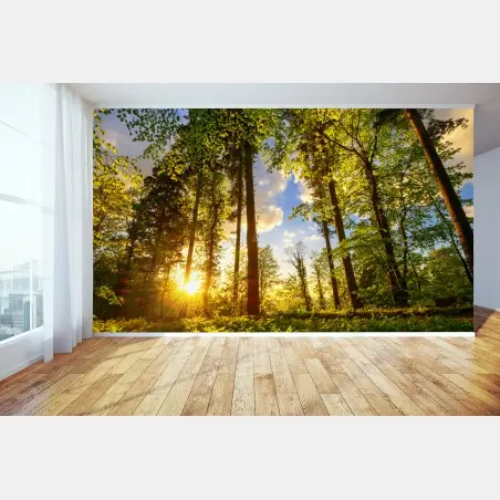 Fototapete sonnenbeschienener waldweg in der goldenen stunde – Pixers®