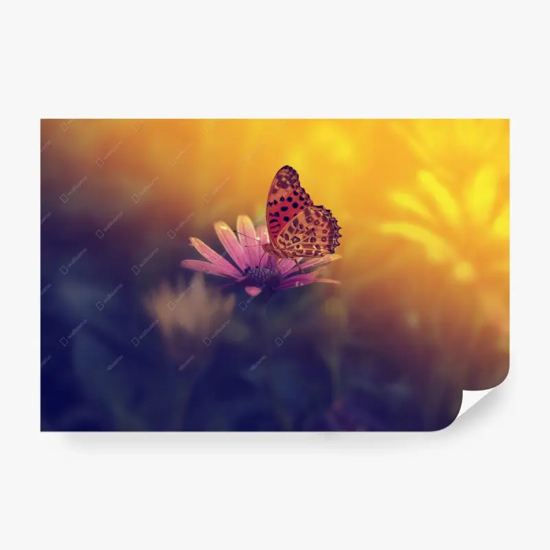 Fototapete goldener schmetterling auf rosa blüte