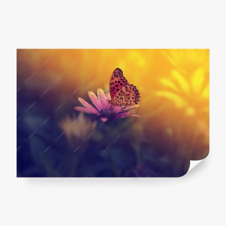 Fototapete goldener schmetterling auf rosa blüte – Pixers®