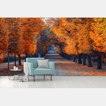 Fototapete herbstallee mit orangefarbenen bäumen – Pixers®