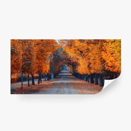 Fototapete herbstallee mit orangefarbenen bäumen – Pixers®