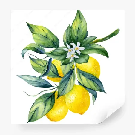 Fototapete aquarell zitronenzweig – Pixers®