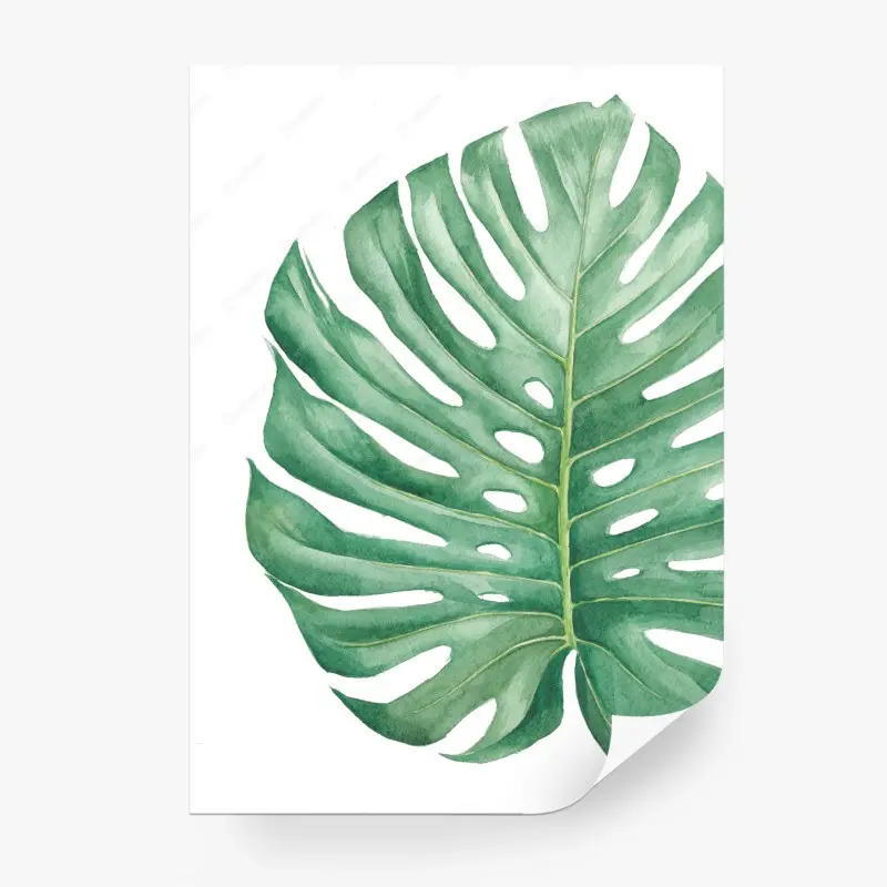 Fototapete tropisches monstera blatt in aquarell