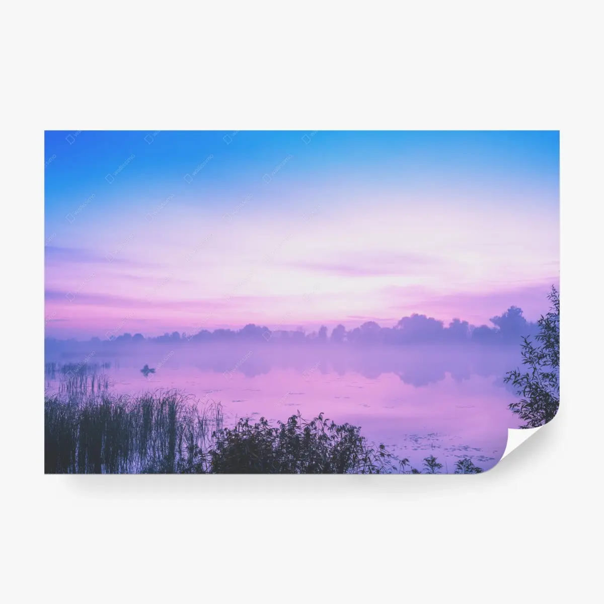 Fototapete nebliger morgen am see – Pixers®