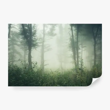 Fototapete nebliger wald am morgen – Pixers®