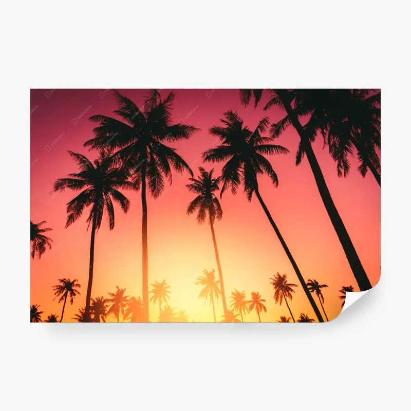 Fototapete tropischer sonnenuntergang mit palmen