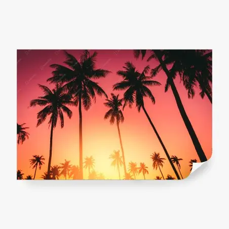 Fototapete tropischer sonnenuntergang mit palmen – Pixers®