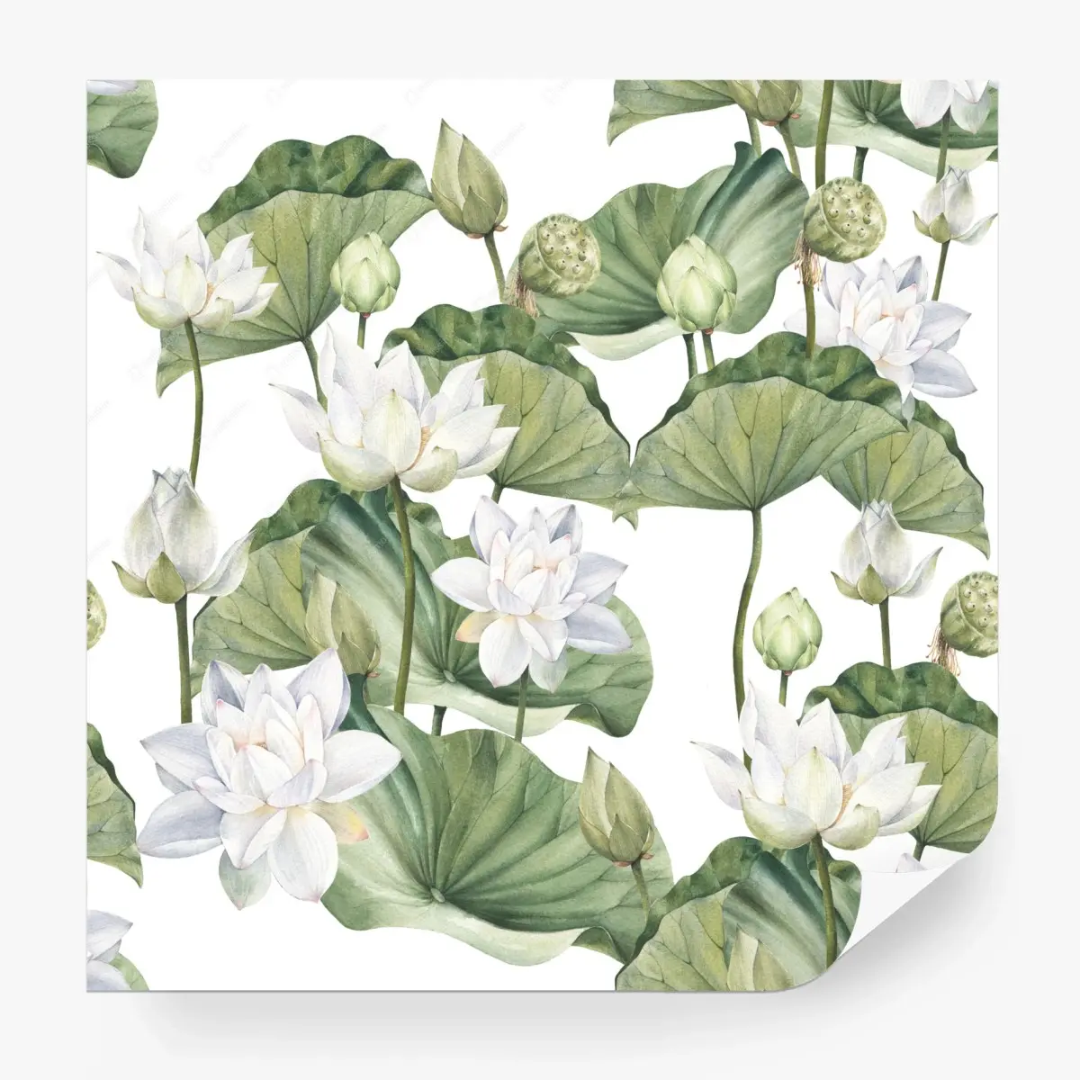 Fototapete weißer lotus aquarell botanisches muster – Pixers®
