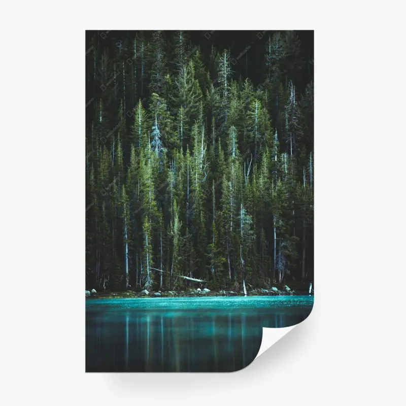 Fototapete ruhiger türkissee und immergrüner wald