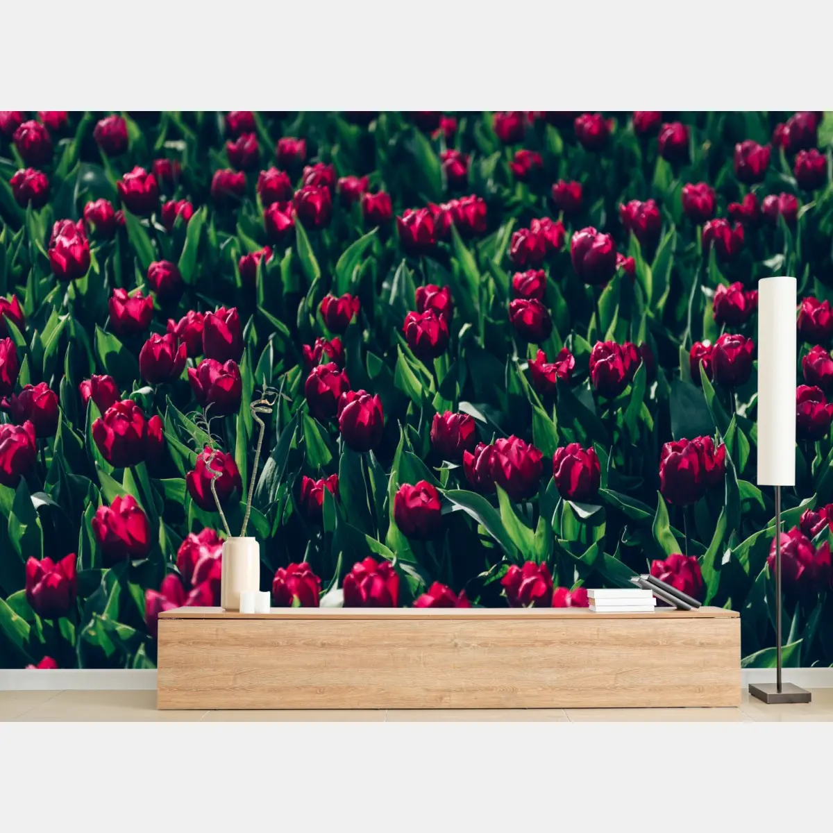 Fototapete feld roter tulpen – Pixers®