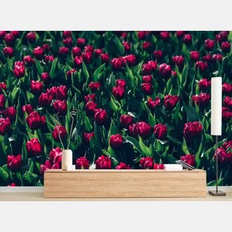 Fototapete feld roter tulpen – Pixers®