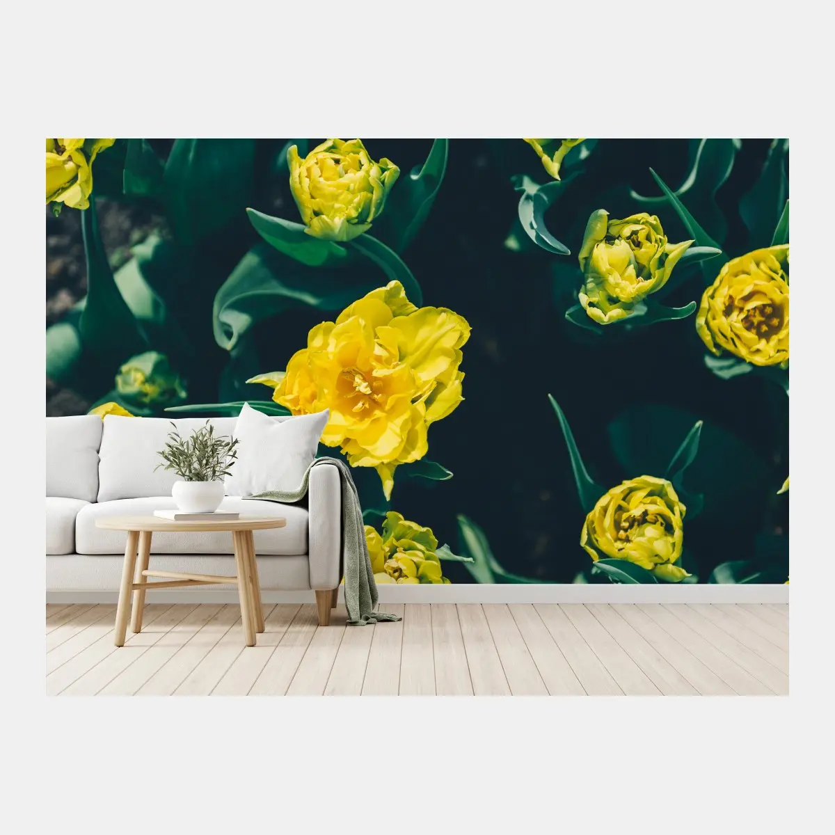 Fototapete leuchtende gelbe tulpen im nahblick – Pixers®