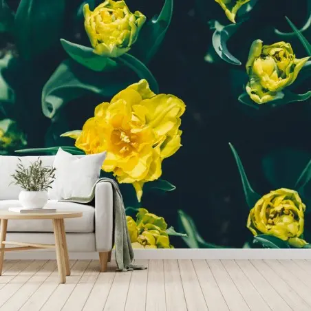 Fototapete leuchtende gelbe tulpen im nahblick