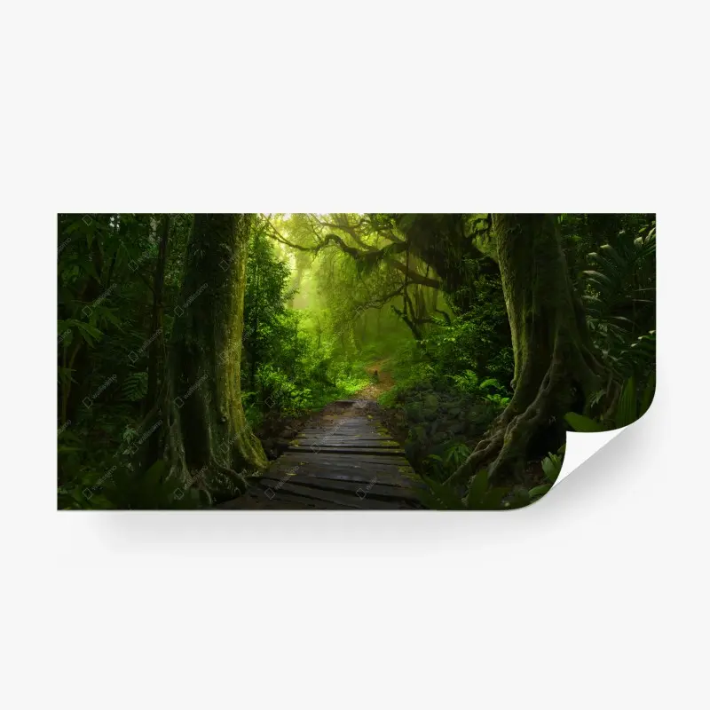 Fototapete smaragdgrüner waldpfad