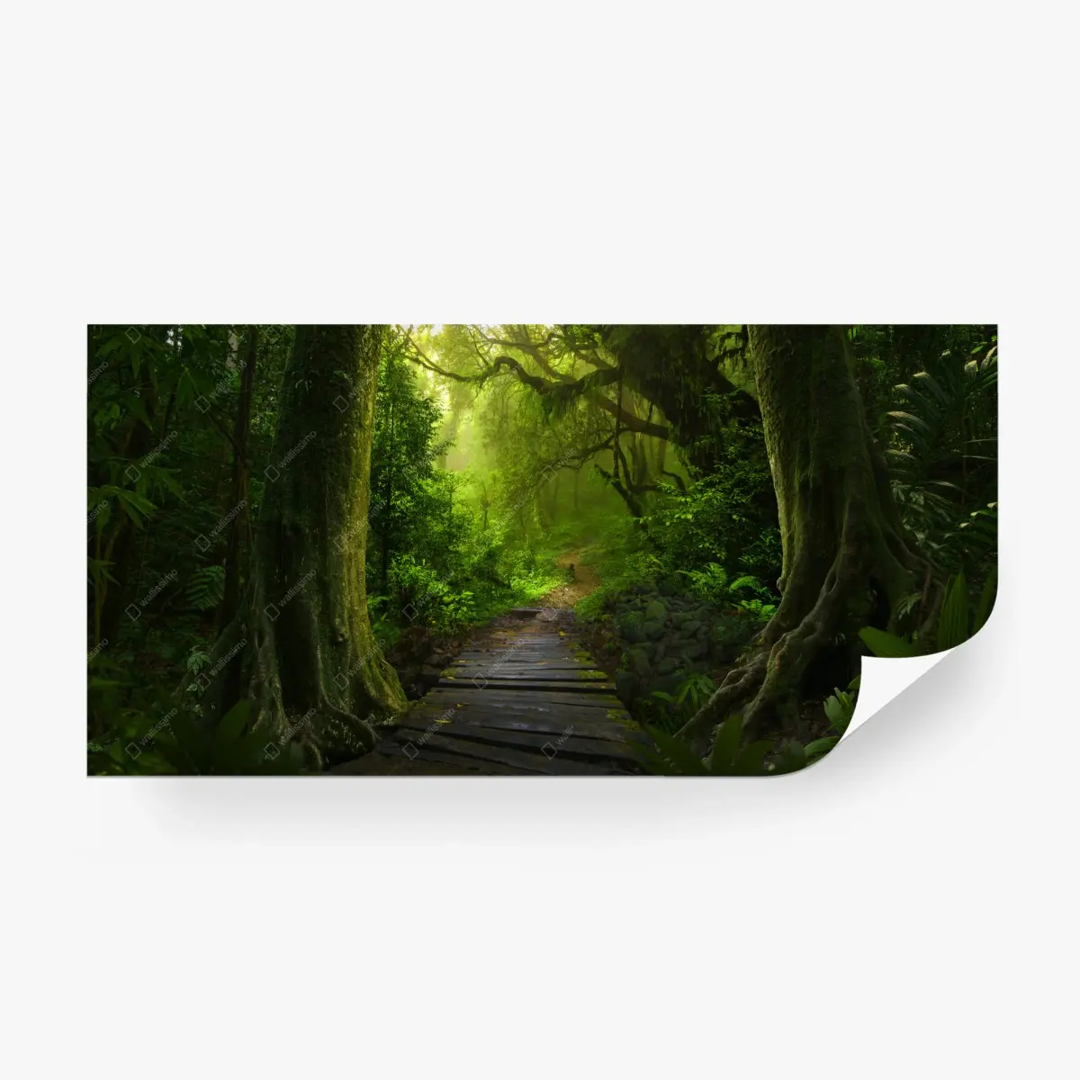 Fototapete smaragdgrüner waldpfad – Pixers®