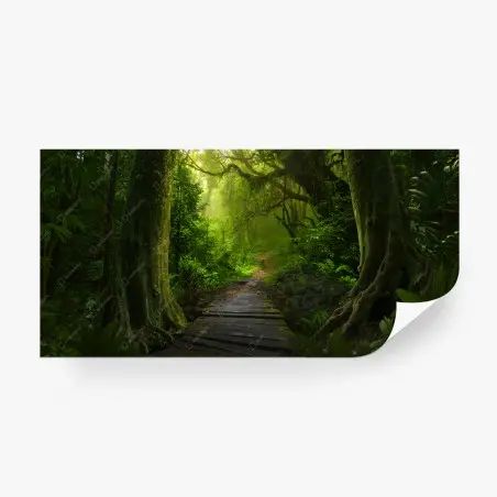 Fototapete smaragdgrüner waldpfad – Pixers®