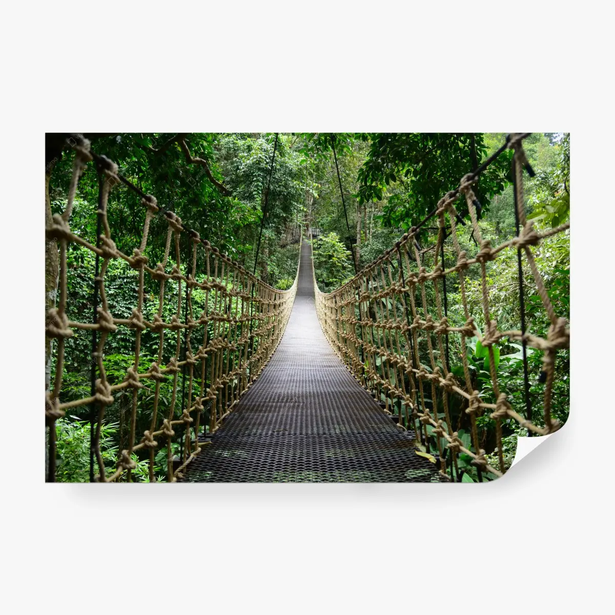 Fototapete hängende brücke durch dichten wald – Pixers®
