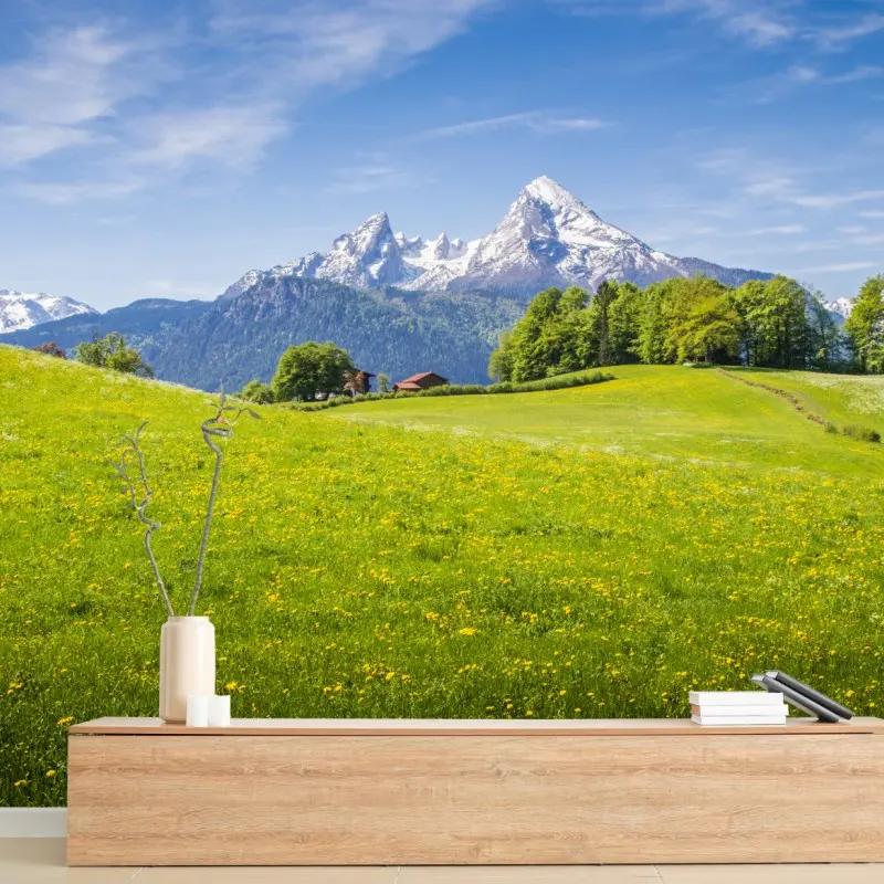 Fototapete alpenwiese mit schneebedeckten bergspitzen
