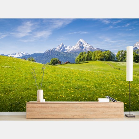 Fototapete alpenwiese mit schneebedeckten bergspitzen – Pixers®