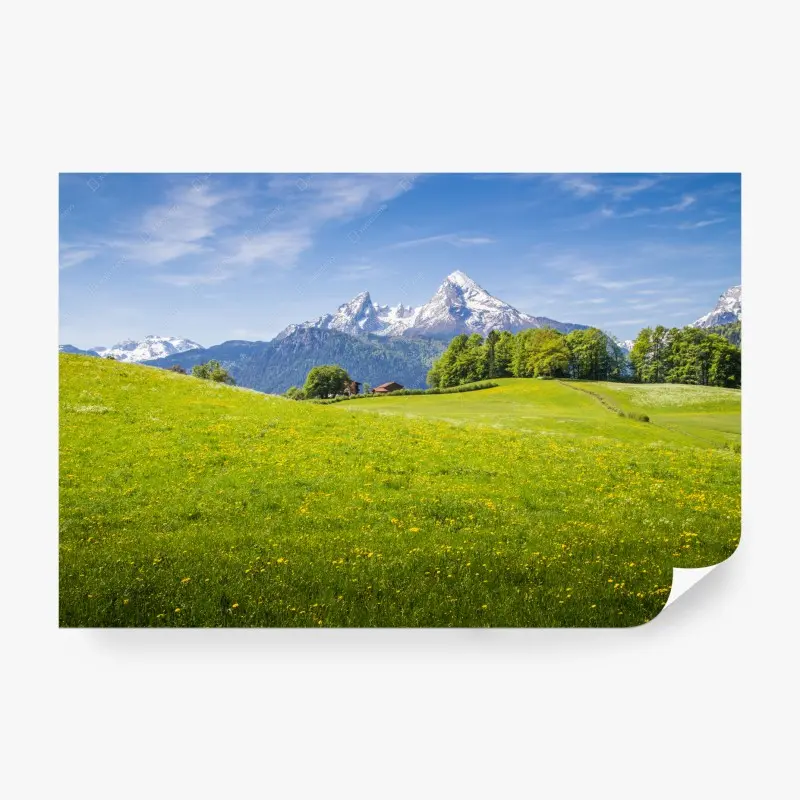 Fototapete alpenwiese mit schneebedeckten bergspitzen