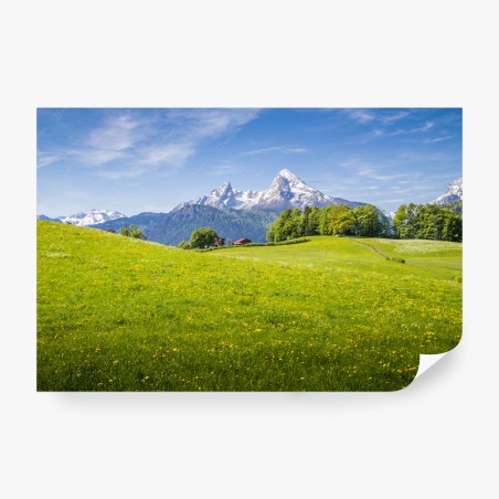 Fototapete alpenwiese mit schneebedeckten bergspitzen – Pixers®