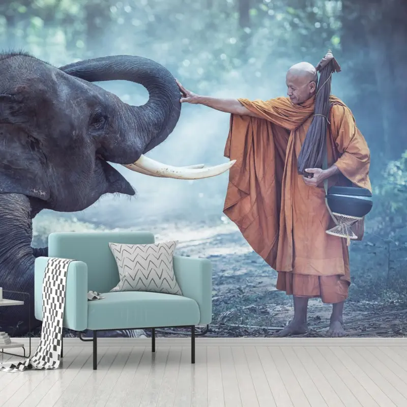 Fototapete buddhistischer mönch und elefant in Thailand