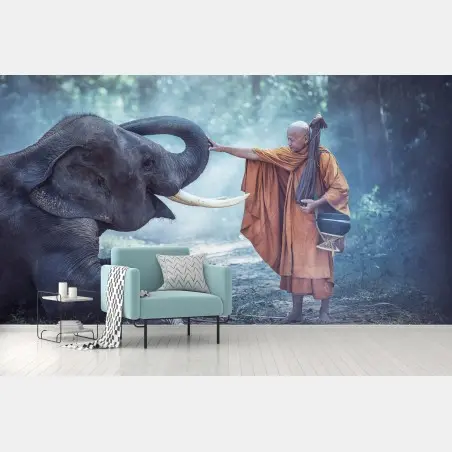 Fototapete buddhistischer mönch und elefant in Thailand – Pixers®