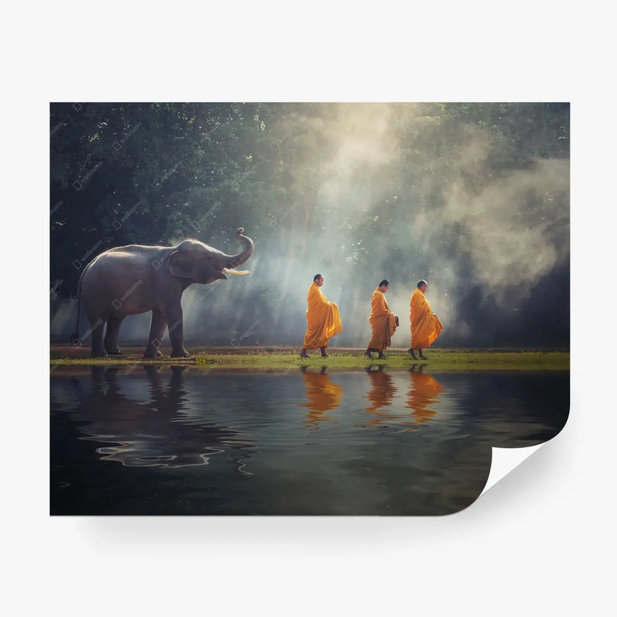 Fototapete buddhistische mönche und elefant am fluss – Pixers®