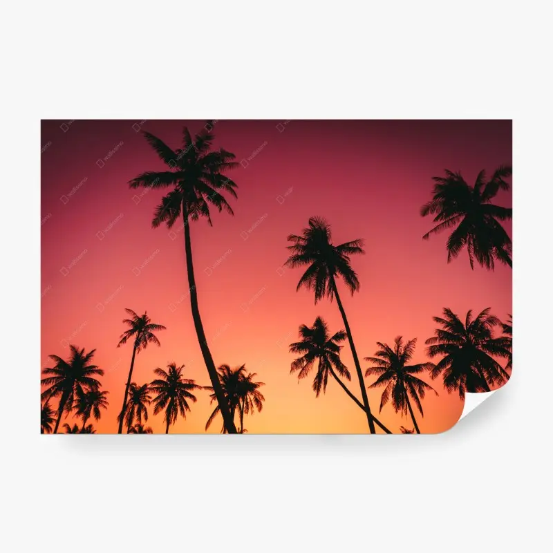 Fototapete vintage tropischer sonnenuntergang mit palmen
