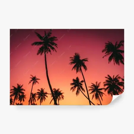 Fototapete vintage tropischer sonnenuntergang mit palmen – Pixers®