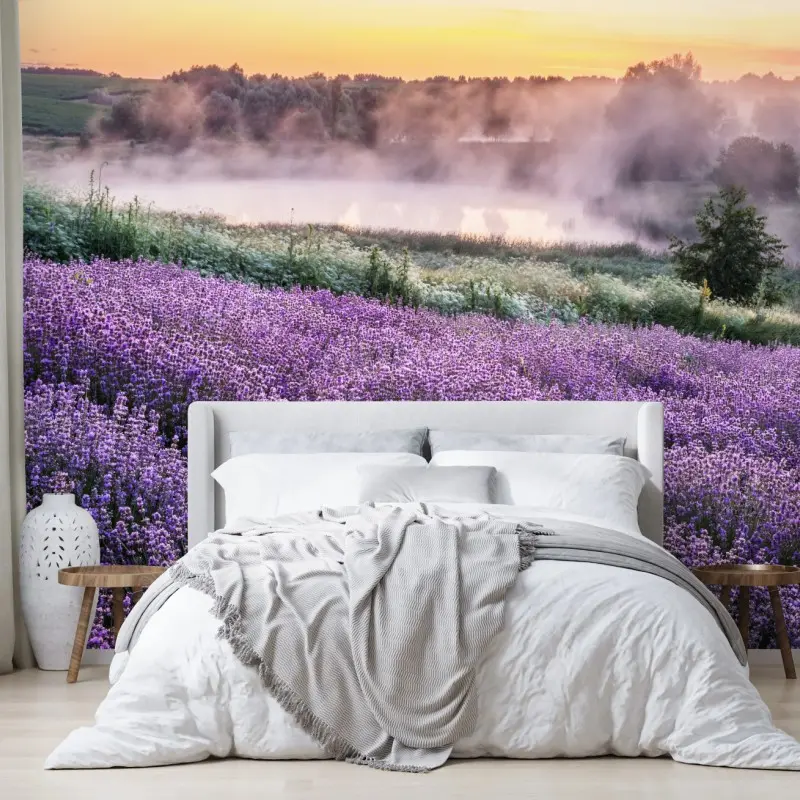 Fototapete nebliges lavendelfeld im morgengrauen