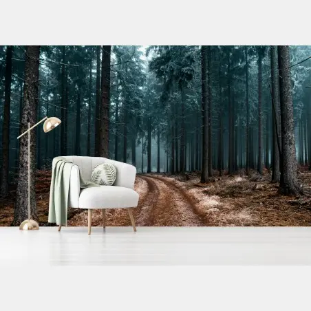 Fototapete nebliger waldweg zwischen kiefern – Pixers®