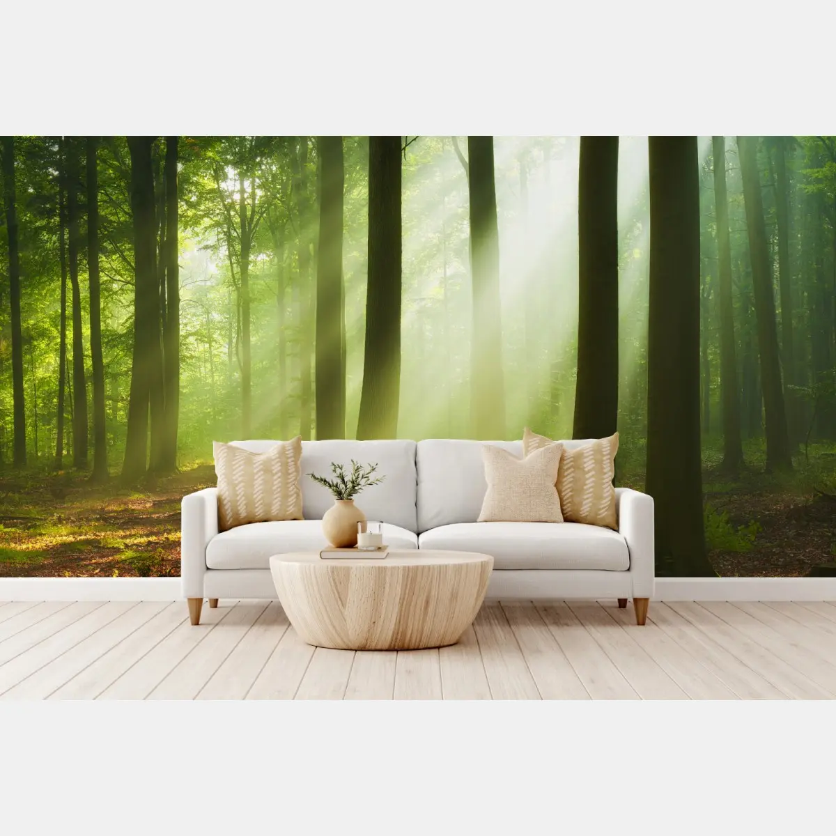 Fototapete sonniger morgen im wald – Pixers®