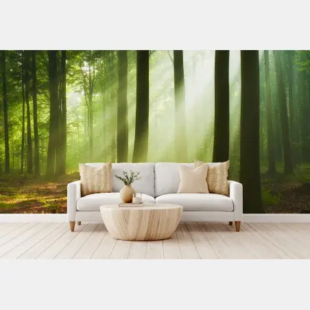 Fototapete sonniger morgen im wald – Pixers®